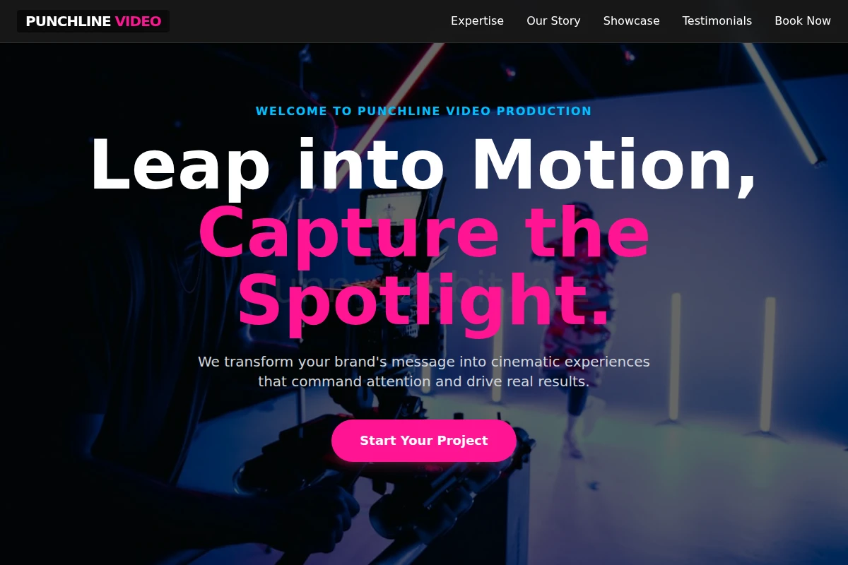 Punchline Video Production
