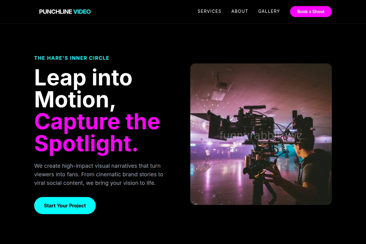 Punchline Video Production